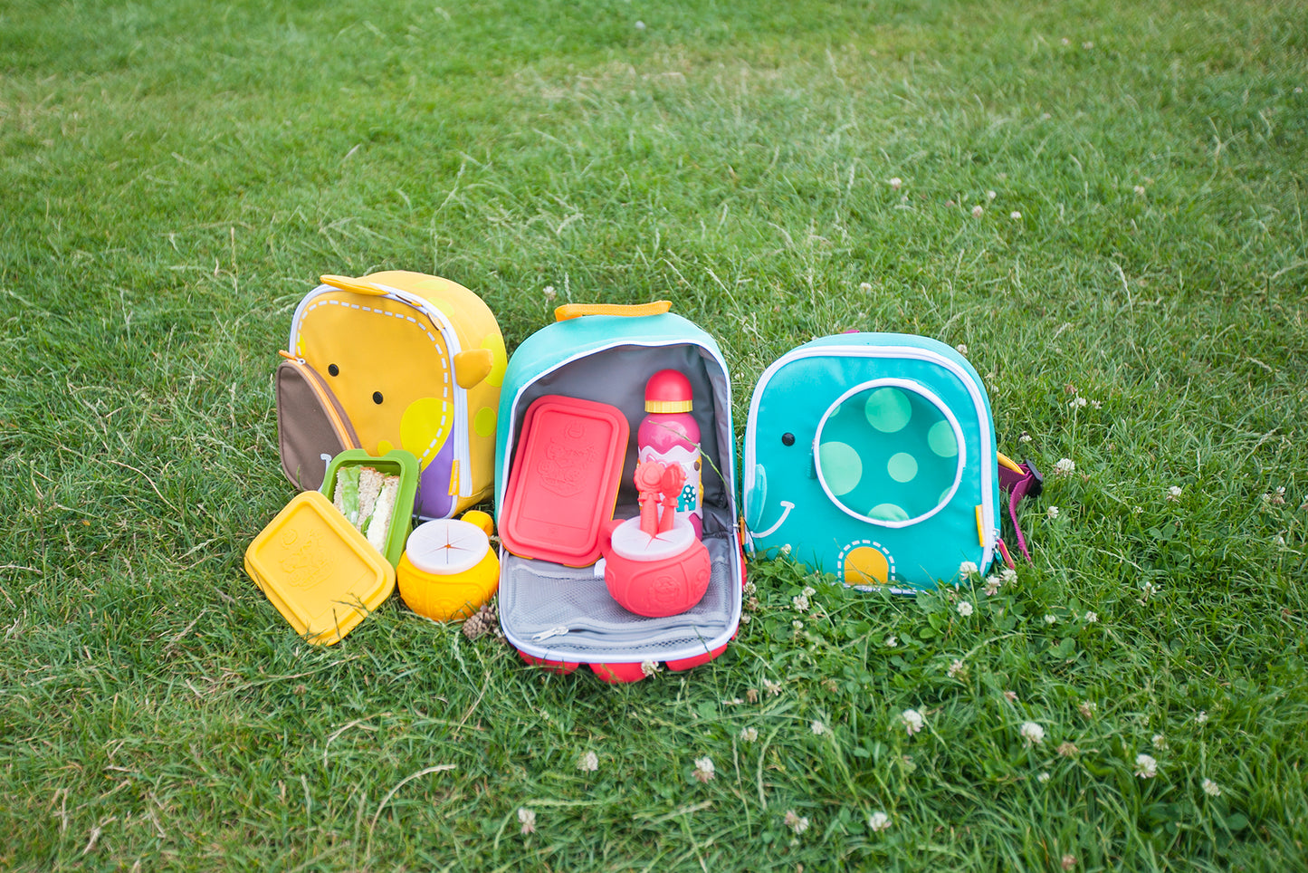Insulated Lunch Bag