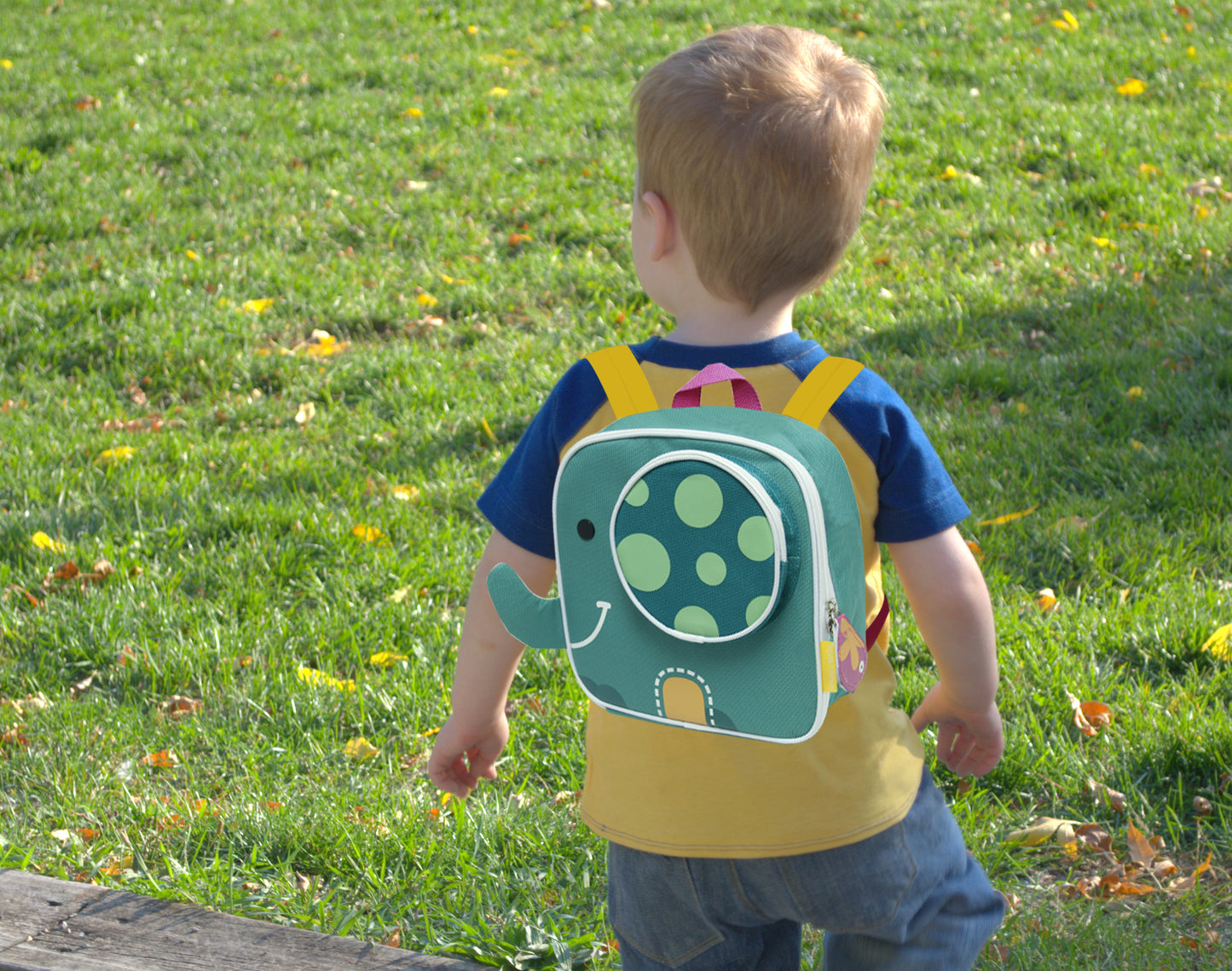 Insulated Lunch Bag