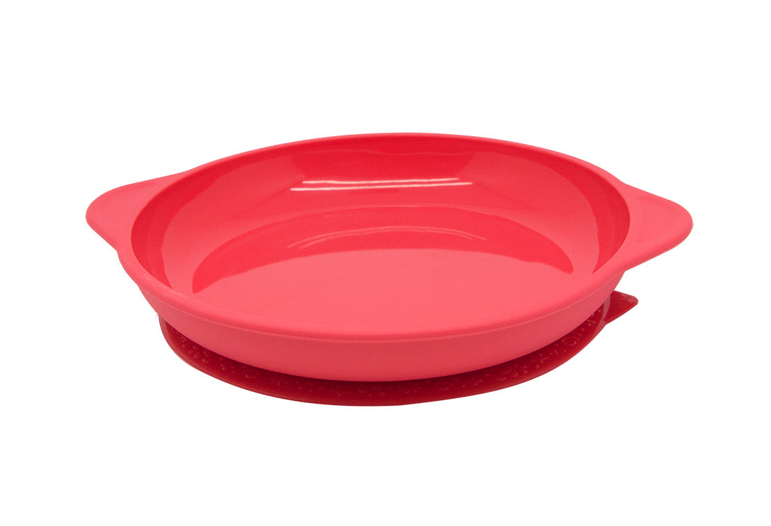 Suction Plate